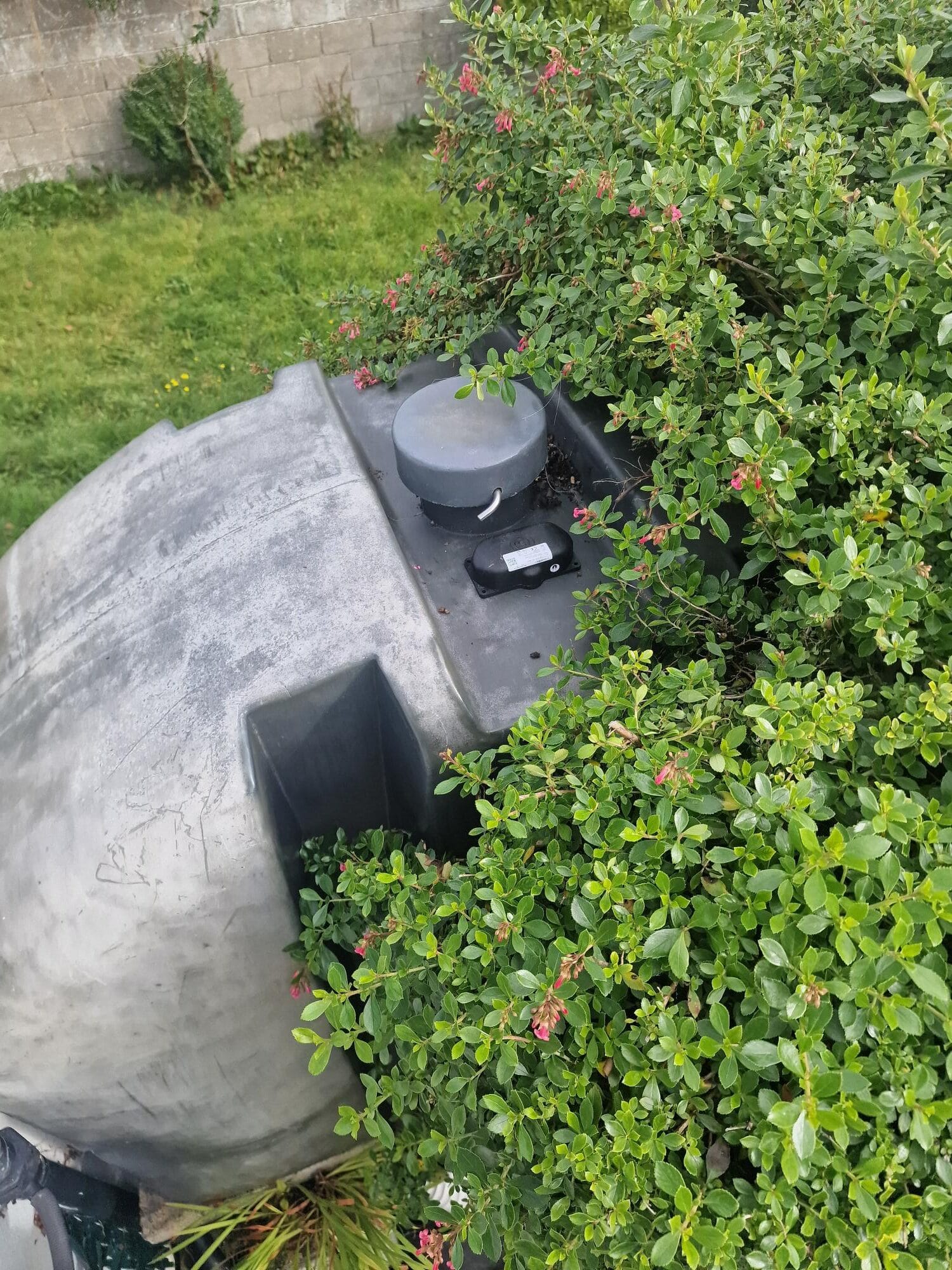 Sensor installed on an outdoor tank, partially covered by bushes.
