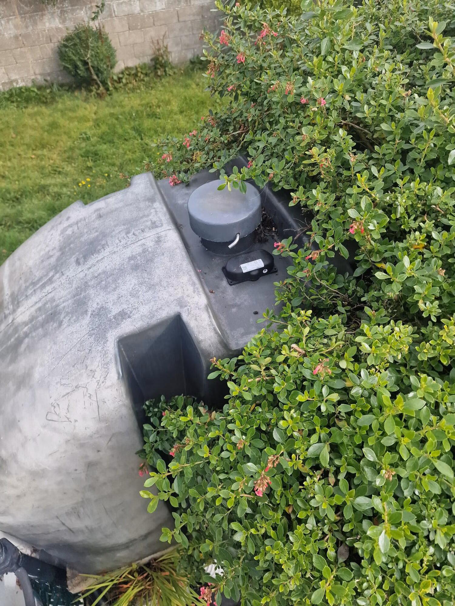 Sensor installed on an outdoor tank, partially covered by bushes.