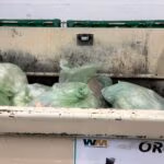 A dumpster with a sensor attatched to its back wall filled with green trash bags.