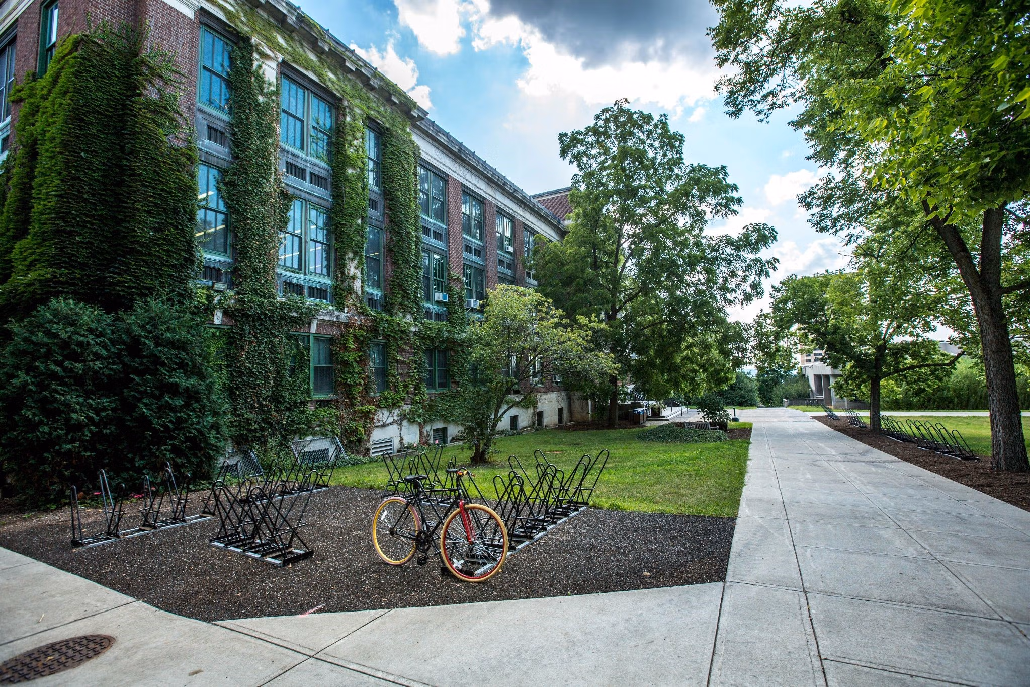 Bike racks and a single bicycle outside an ivy-covered campus building.